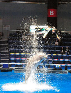 20100519_862shuusei.jpg