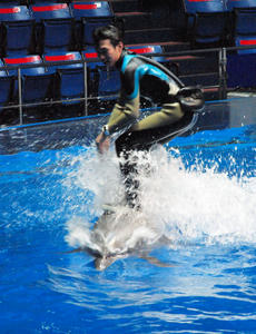 20100519_869shuusei.jpg
