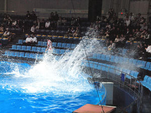 20100519_939shuusei.jpg