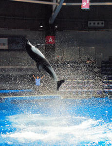 20100519_978shuusei.jpg