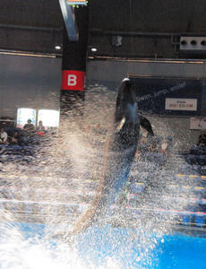 20100519_987shuusei.jpg