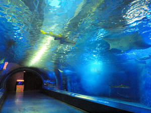 20100519_1333shuusei.jpg