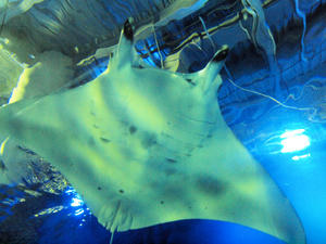 20100519_1319shuusei.jpg