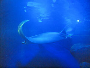 20100519_1302shuusei.jpg