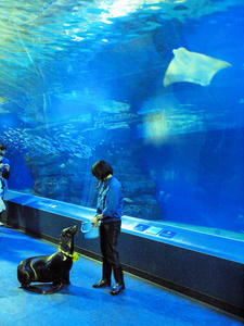 20100519_1291shuusei.jpg