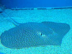 20100519_687shuusei.jpg