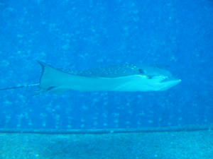 20100519_679shuusei.jpg