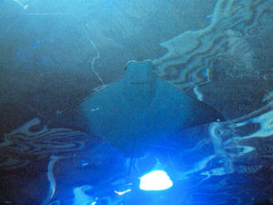 20100519_677shuusei.jpg