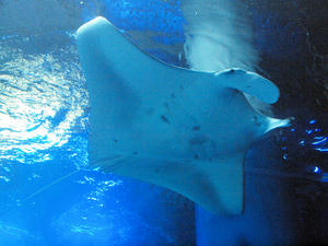 20100519_673shuusei.jpg