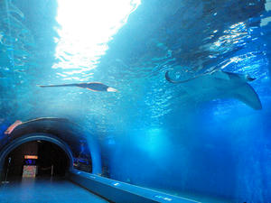 20100519_665shuusei.jpg