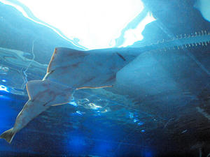 20100519_635shuusei.jpg