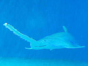 20100519_627shuusei.jpg