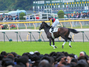 20100530_171shuusei.jpg