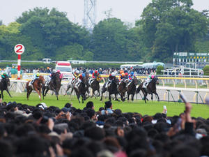 20100530_354shuusei.jpg