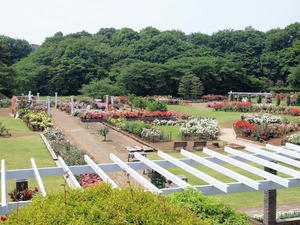 20100526_2shuusei.jpg