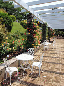 20100526_3shuusei.jpg