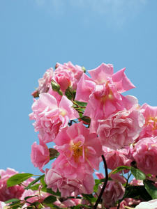 20100526_26shuusei.jpg