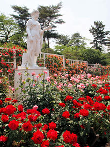 20100526_30shuusei.jpg
