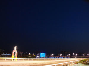 20100602_311shuusei.jpg