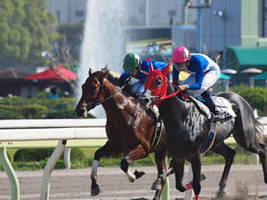 20100602_57shuusei.jpg