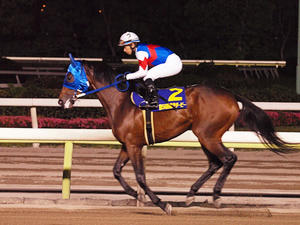 20100602_416shuusei.jpg