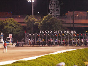20100602_454shuusei.jpg