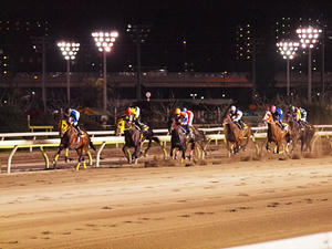20100602_467shuusei.jpg