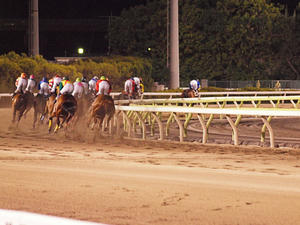 20100602_484shuusei.jpg