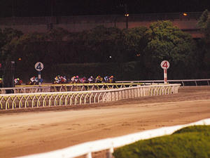 20100602_497shuusei.jpg