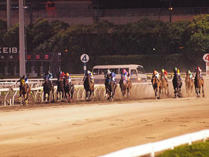 20100602_506shuusei.jpg