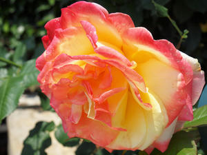 20100526_93shuusei.jpg