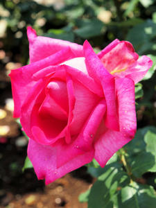 20100526_89shuusei.jpg