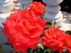 20100526_45shuusei.jpg