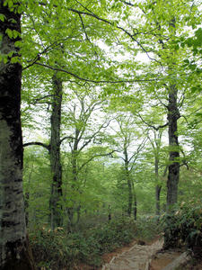 20100608_9shuusei.jpg