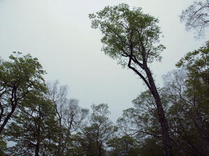 20100608_8shuusei.jpg