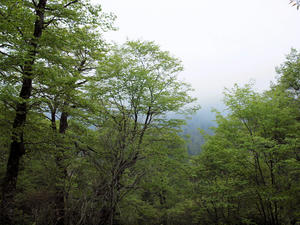 20100608_14shuusei.jpg