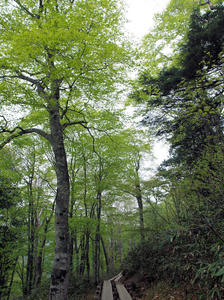 20100608_15shuusei.jpg