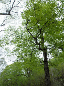 20100608_16shuusei.jpg