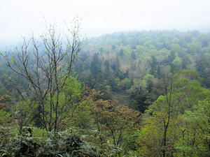 20100608_17shuusei.jpg