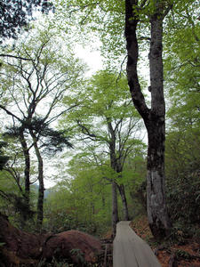 20100608_28shuusei.jpg