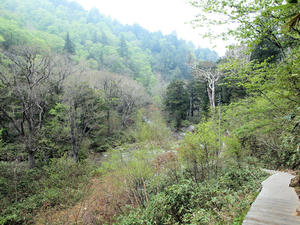 20100608_29shuusei.jpg