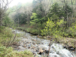 20100608_31shuusei.jpg