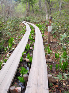 20100608_32shuusei.jpg