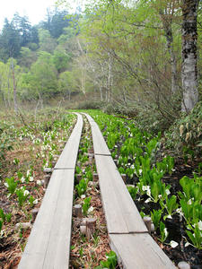 20100608_34shuusei.jpg