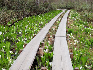20100608_38shuusei.jpg