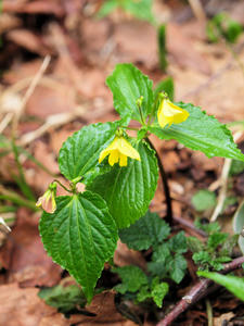 20100608_47shuusei.jpg