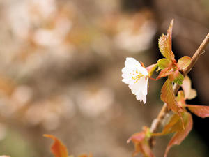 20100608_78shuusei.jpg