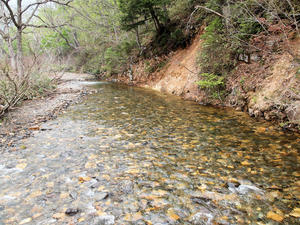 20100608_63shuusei.jpg
