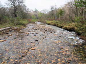 20100608_62shuusei.jpg