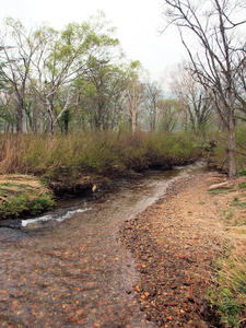 20100608_117shuusei.jpg